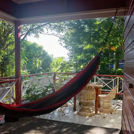 Relax In Paradise, Indikanegril